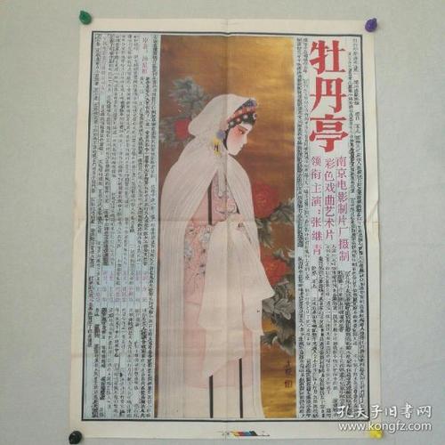 帝塚山大学 Architecture Degree Certificate